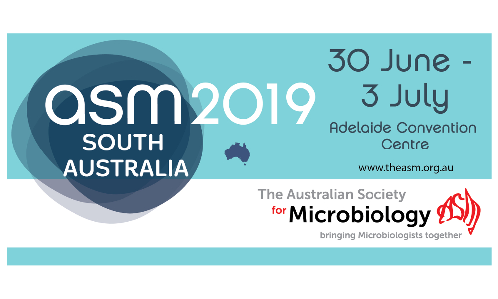 asm2019