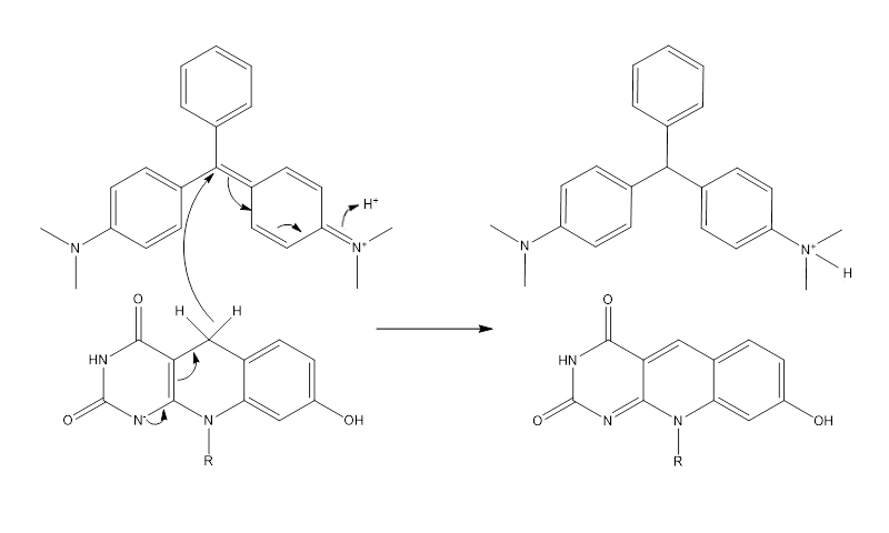 mechanism